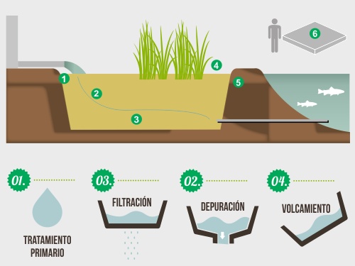 Ver infografía